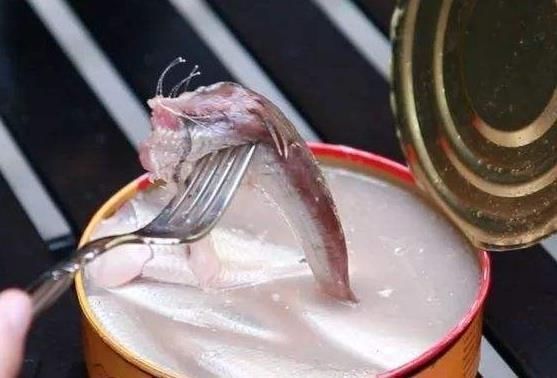 零食|如果给你1000块,6种难吃的零食选一种吃3天,你选择吃哪一种