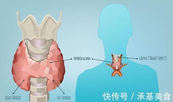 甲状腺结节|有甲状腺结节的人,这3类食物再喜欢也要忌口,否则会加重疾病