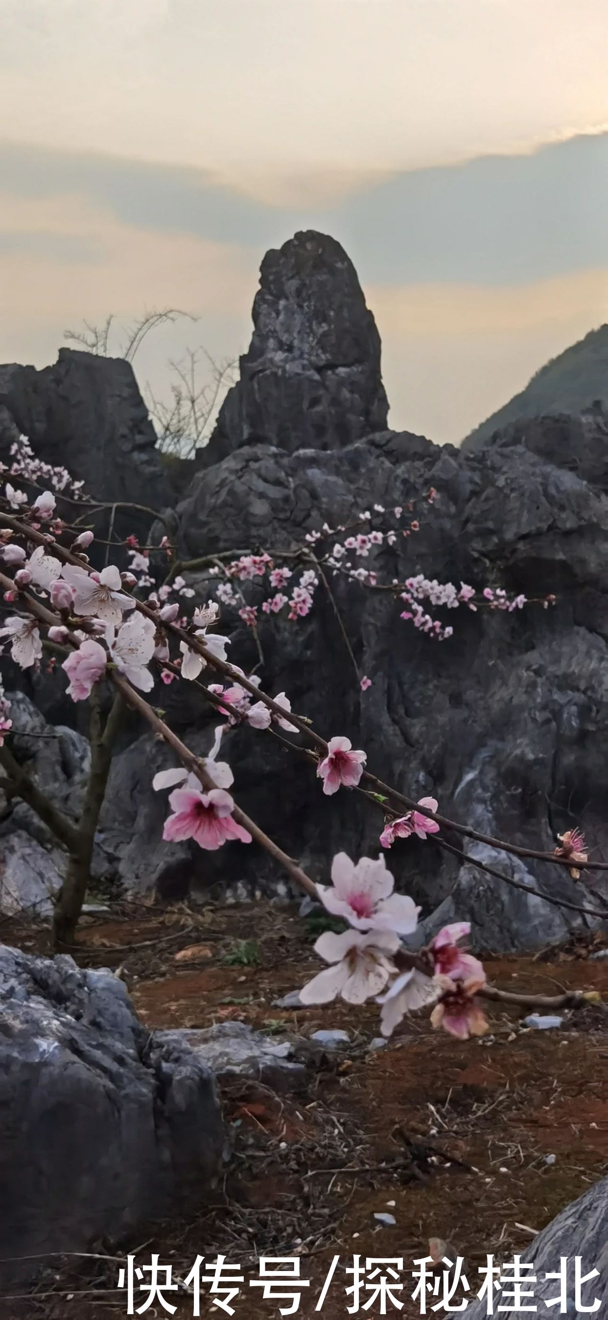 广西灌阳县旅游名村文市镇月岭村旅游观光精华介绍记