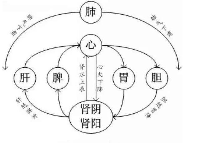 胆结石|胆经一通，万病无踪，一个穴位通肝胆，相关疾病全解决