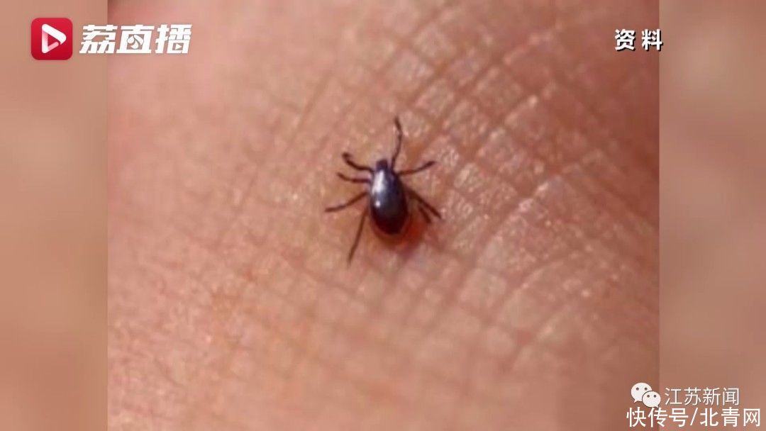 男子|男子钓鱼回家后发烧又咳血，一查竟感染可怕病毒！警惕