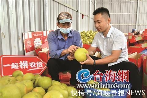 仙游|拼多多公益直播间“搬进”柚子林 仙游副县长助农直播带动文旦柚销量上涨368%