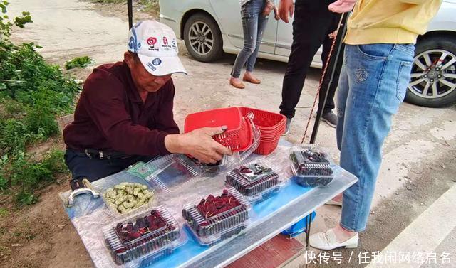 开园|桑葚开园采摘，邻居家黑桑葚变成白桑葚遭遇灭顶之灾，看看咋回事