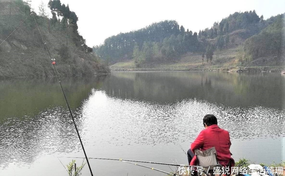 为何一到夏天鱼口就不好?采取这些措施,让鱼乖乖吃饵