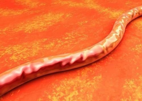 高危期|45-55岁是生命的“高危期”,最怕3处变硬,3件事可助你安稳