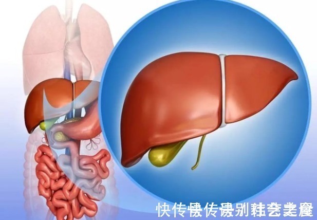 苹果|早上是肝脏“最爱”的时间点!晨起坚持4件事,肝脏会“感激”你