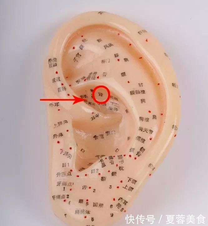 按摩|睡前顺手做1事，简单几分钟，助睡眠、补肾气，肾一天比一天好！