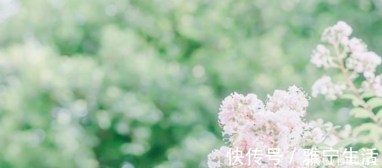 名篇&范成大最经典的一首诗，更是惊艳了世人800年，成为了千古名篇