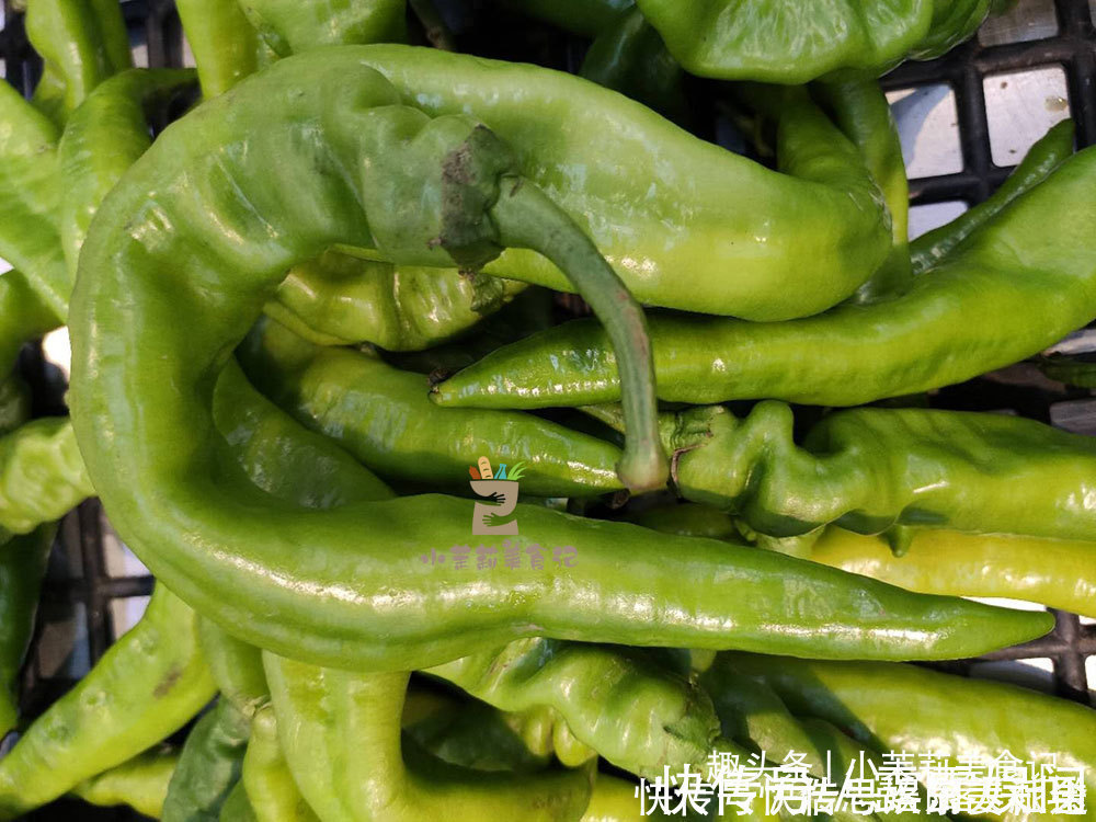 螺丝椒|买青椒时,直的辣还是弯的辣老菜农辣不辣看“这里”准没错
