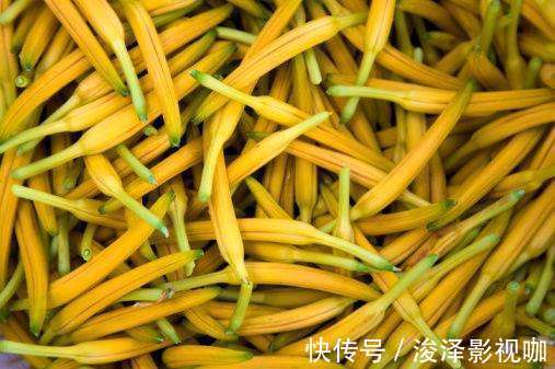 元气满满|此“高钙菜”,“埋”上种子就疯长,15天上桌,很多人都爱吃