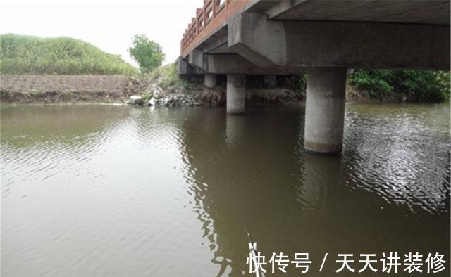 鲫鱼是最容易钓的,如果连鲫鱼都没钓到,需要在多个方面找原因