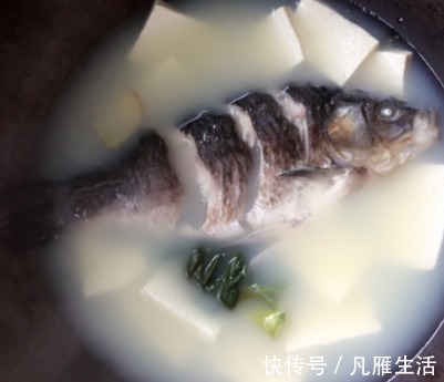 姜块儿|不管炖啥鱼,都不要直接加水炖!这样做汤浓白、味鲜美,好喝!
