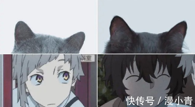 太宰治|把动漫人物换成“猫猫头”,人物顿时显得可爱了,但布姐yyds