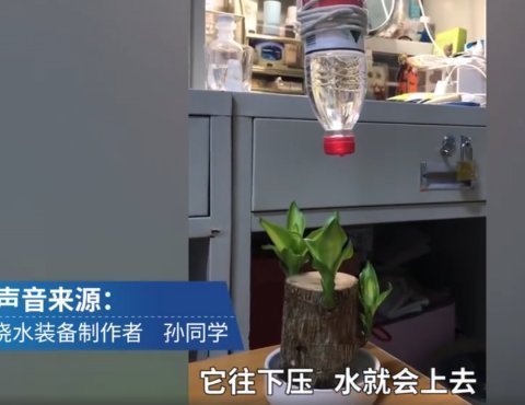 巴西木|大学生放假前自制装备给盆栽浇水，评论区炸了，网友纷纷出招