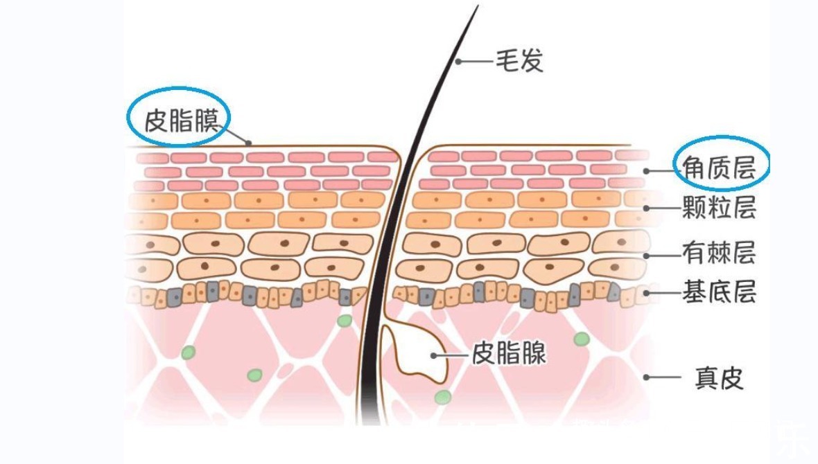 uvb 女人涂防晒霜要牢记3个“不要”，不然涂了也白涂！很多人忽视了