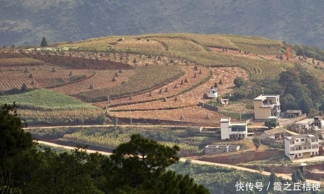 神奇的土地，浓烈的色彩，完美的线条，东川红土地