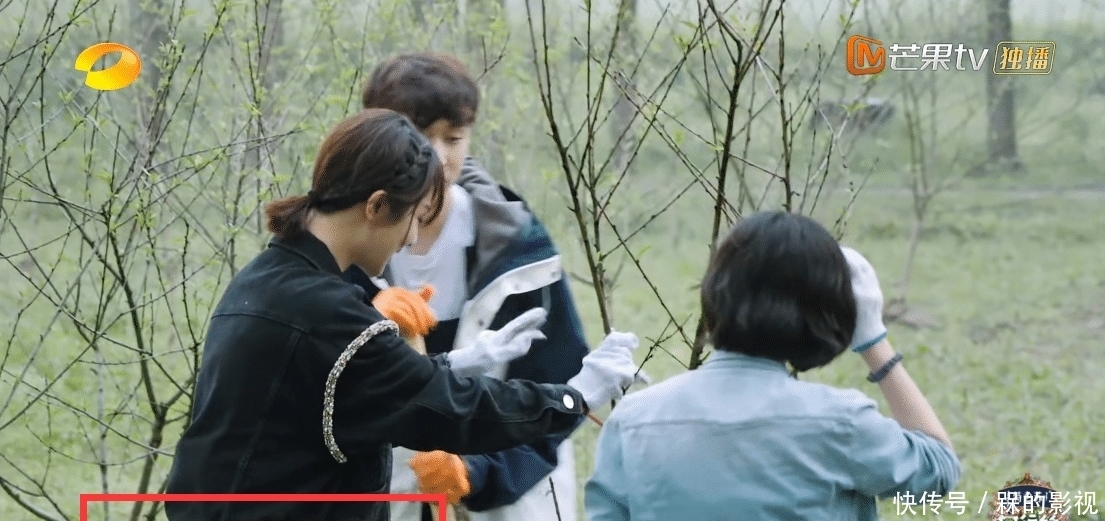 绯闻男女|绯闻男女何去何从?张艺兴对杨紫称呼三次转变,观众嗑糖嗑疯了!