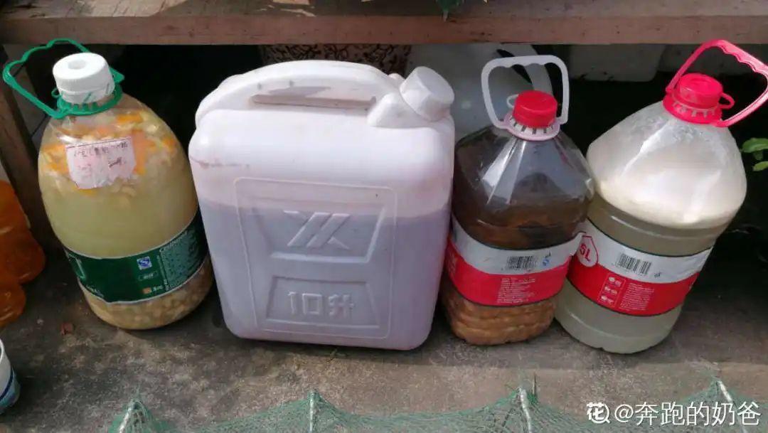 4种养花夺命水,秋天不要浇,一浇花就死!