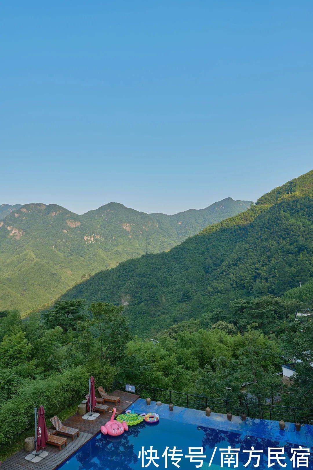 深山峡谷|藏于安吉深山峡谷的老树林避暑民宿，举目皆是绿野丨老树林