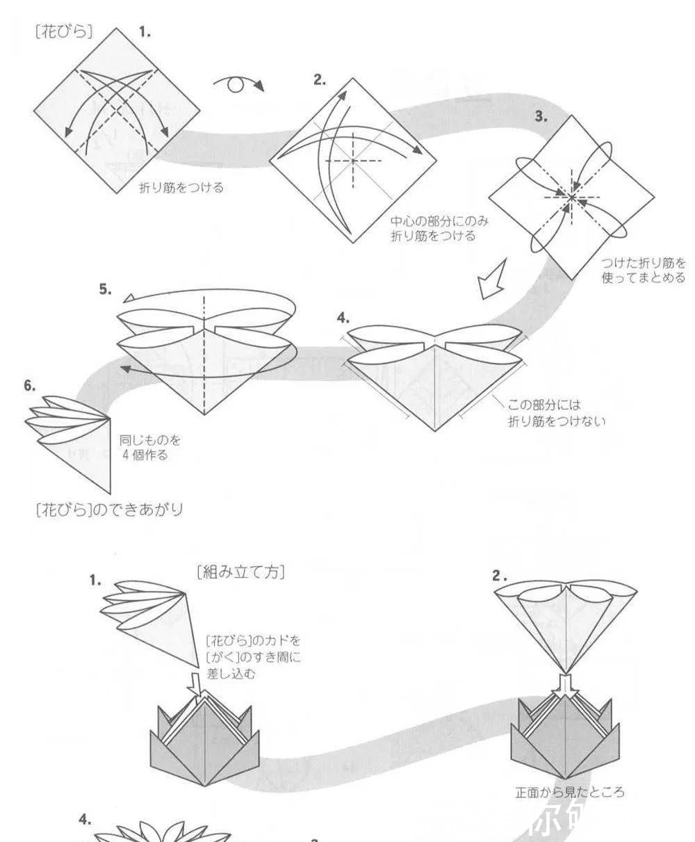  NO|NO.2286一朵组合的小花儿，好像是菊花吧