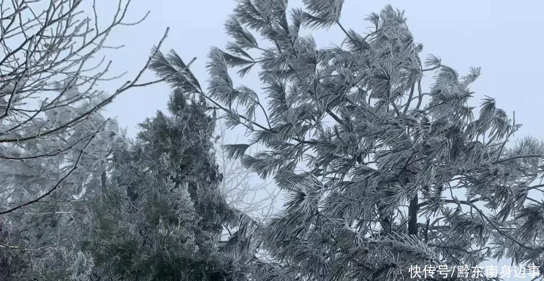 路段实施|凯里小高山一夜白头 最美雪景如约而至