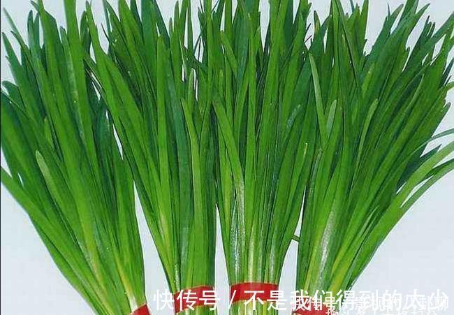 韭菜鸡蛋馅|韭菜馅饺子,先放油还是先放盐?很多人第1步就错了,难怪不好包