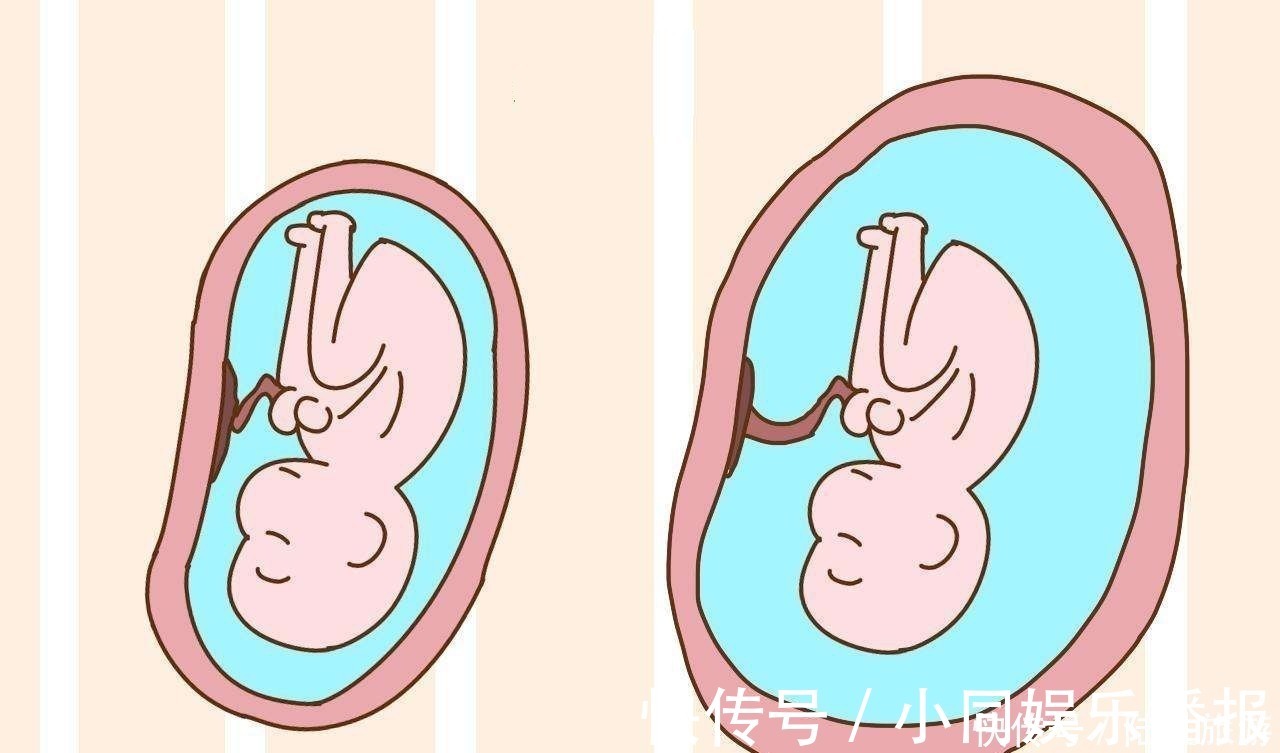胎儿|怀孕后,这4类食物不要吃了,会使羊水质量变差,影响胎儿发育
