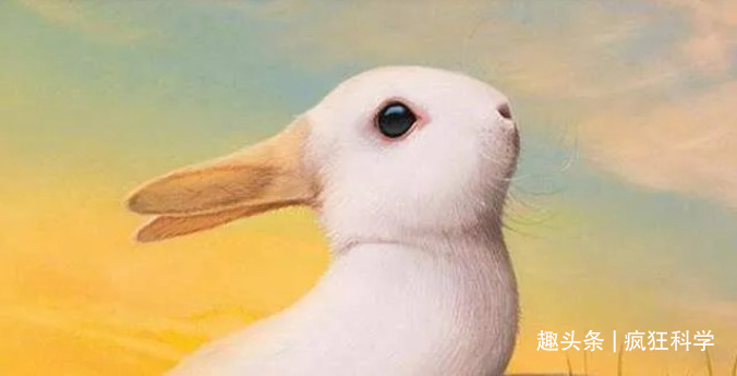 图片@15张能让你怀疑眼睛的视错觉图片,最后那张图你能看出来吗