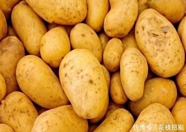天热土豆买多了,不要放进冰箱教你和它放一起,放半年都不发芽