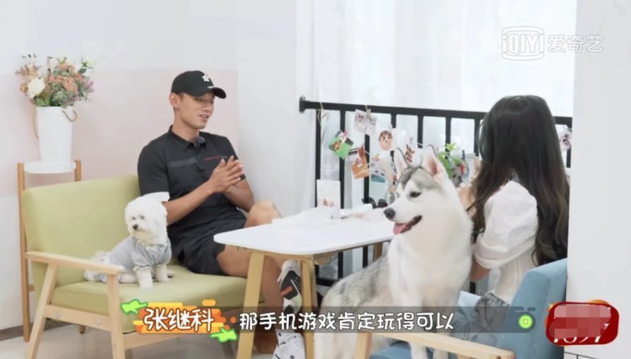 面對鏡頭 張繼科被指為金晨上綜藝女方符合男方擇偶標(biāo)準(zhǔn),網(wǎng)友感覺能成