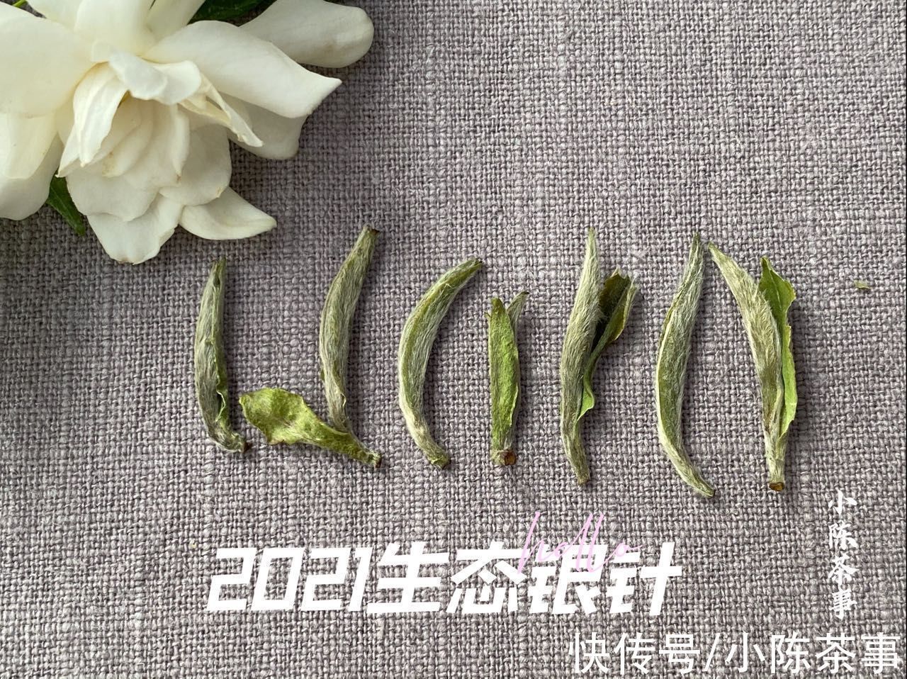 白茶!六大茶类的划分标准,白茶、绿茶、红茶、黑茶,是靠颜色划分吗?