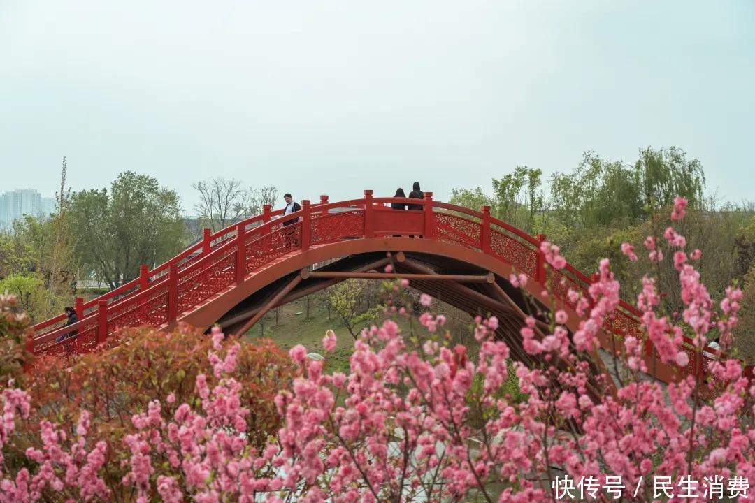 清明假期第二天，郑州园博园景区春和景明，游人如织