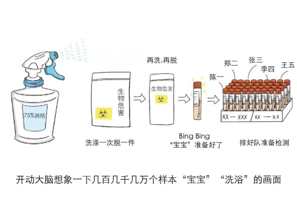 核酸|核酸的检测有多麻烦？看完都不好意思催结果了