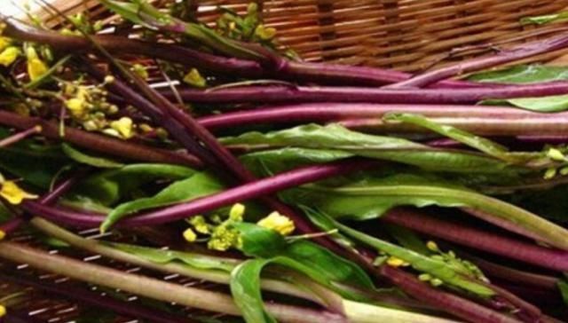 喜欢|这种水果味道比柠檬还要酸,但很多人喜欢吃,吃过的举手