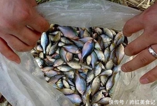  5年长不到3厘米，以前乡下用来喂鸭子，现在却很珍贵，5元一条