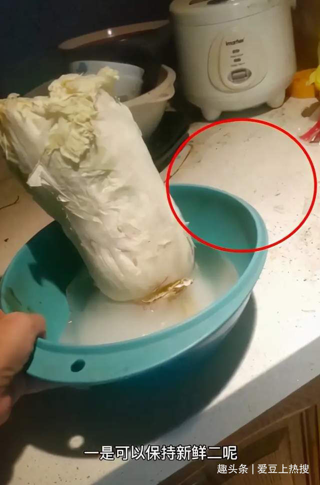 51歲阿寶近況:廚房污垢油漬滿地,客廳內(nèi)景布置寒酸