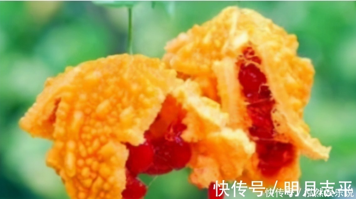 食物|多吃以下3种食物,补充营养预防疾病,排毒养颜身体棒