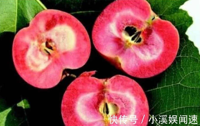 赘肉|女生肚子上有赘肉早上“空腹”吃几个,肠胃更干净,减掉大象腿