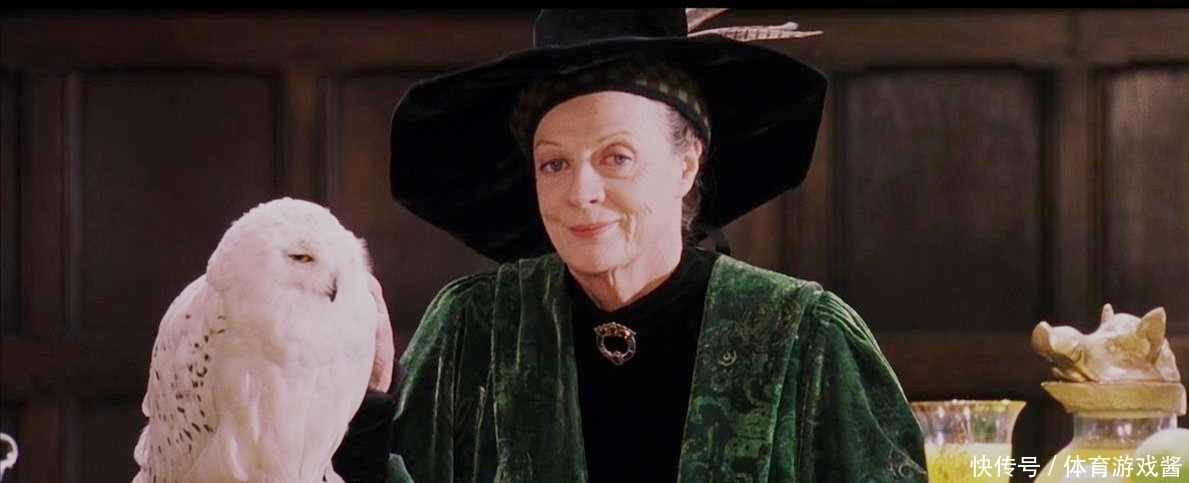 《哈利·波特》:意难平啊!那些年遗憾错过的CP们