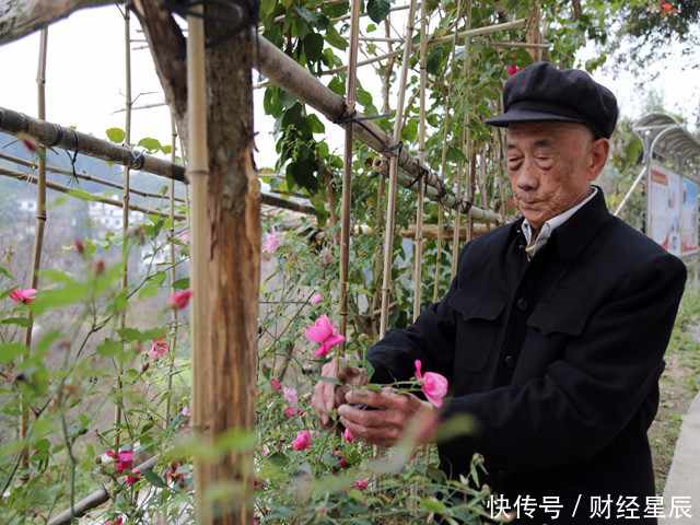  年轻|90岁老人长寿秘诀：坚持3点，肝越来越“年轻”，肝好人长寿