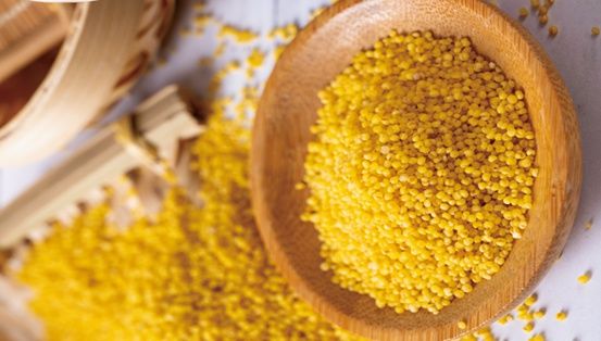 富硒金小米 漳水灌溉 天生“硒”有！|养生秘籍 | 北纬37