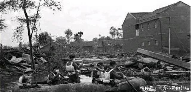 始末|中国1983年蛇灾是怎么回事？揭秘关于1983年中国蛇灾始末