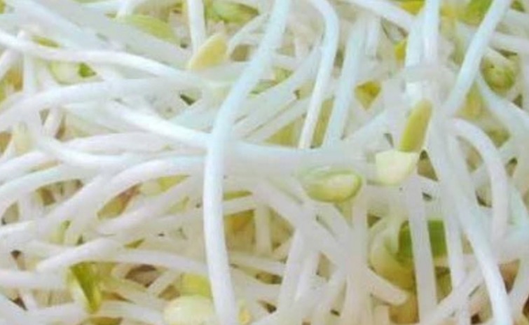 张医师|宁愿饿着，也不碰4种“脏蔬菜”，多半细菌成“群”，望周知