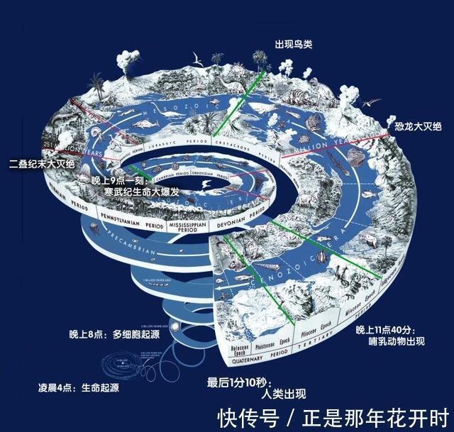 在植食性动物基础上,地球进化出肉食性动物的意义是什么?