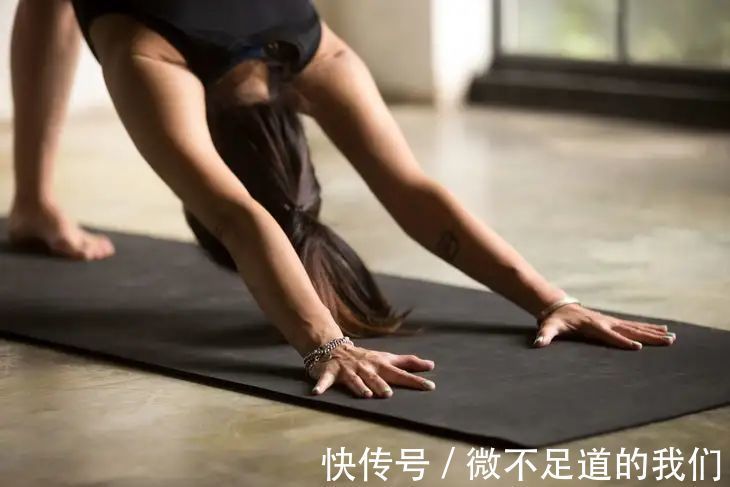 犬式|瑜伽拜日式，瑜伽入门必练的经典序列！