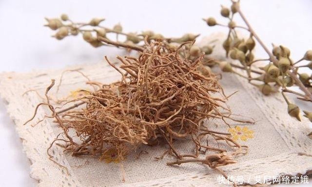 牙周炎|一味药止牙痛,中医界已经为之折服,牙疼的朋友应该要知道了!