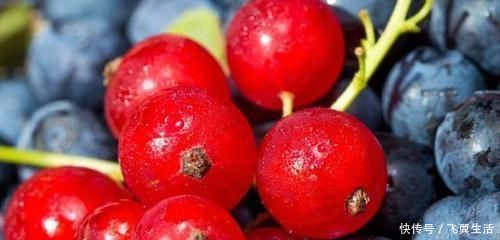 美容|立春后，女性常吃3物，护眼明目，美容护肤，睡眠也变好