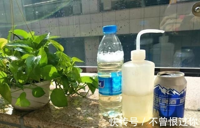 花草|都知道啤酒养花好,然而,没掌握住“浓度配比”却会出大事