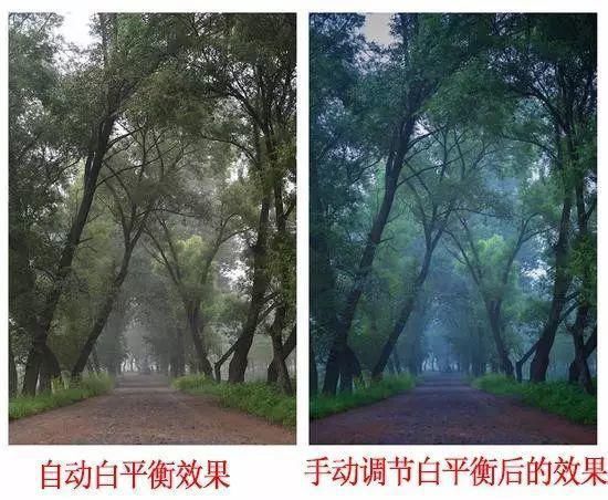 雷雨季，拍出雨的静美和诗意，这些方法要记好！