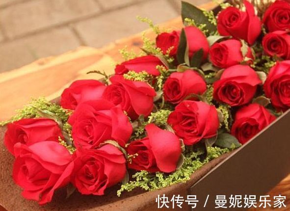 精品|喜欢玫瑰，就养盆“玫瑰精品”卡罗拉，雍容华贵，寓意炽热的爱情